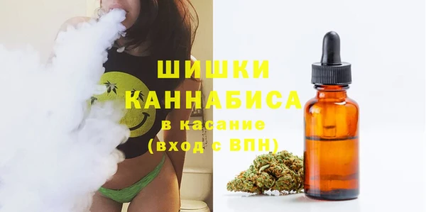 прущие крисы Елабуга