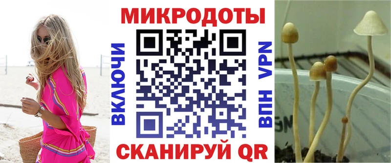 Галлюциногенные грибы MAGIC MUSHROOMS  Купить  Ступино 